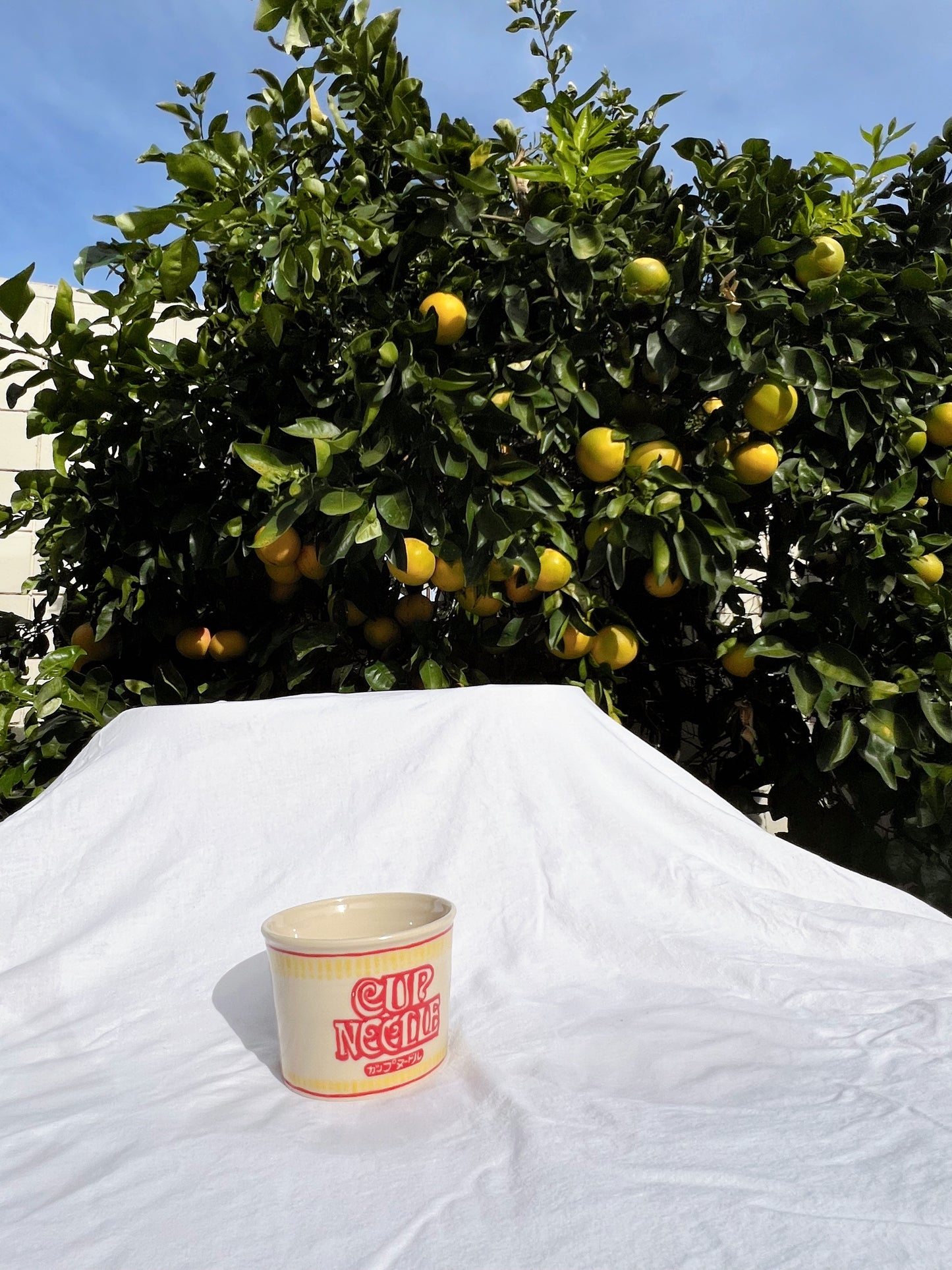 Cup of Noodle Planter