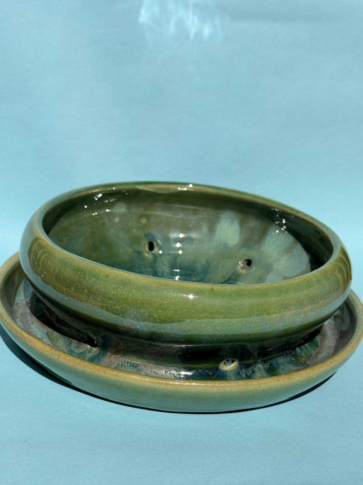 Bog Planter Lily Pad