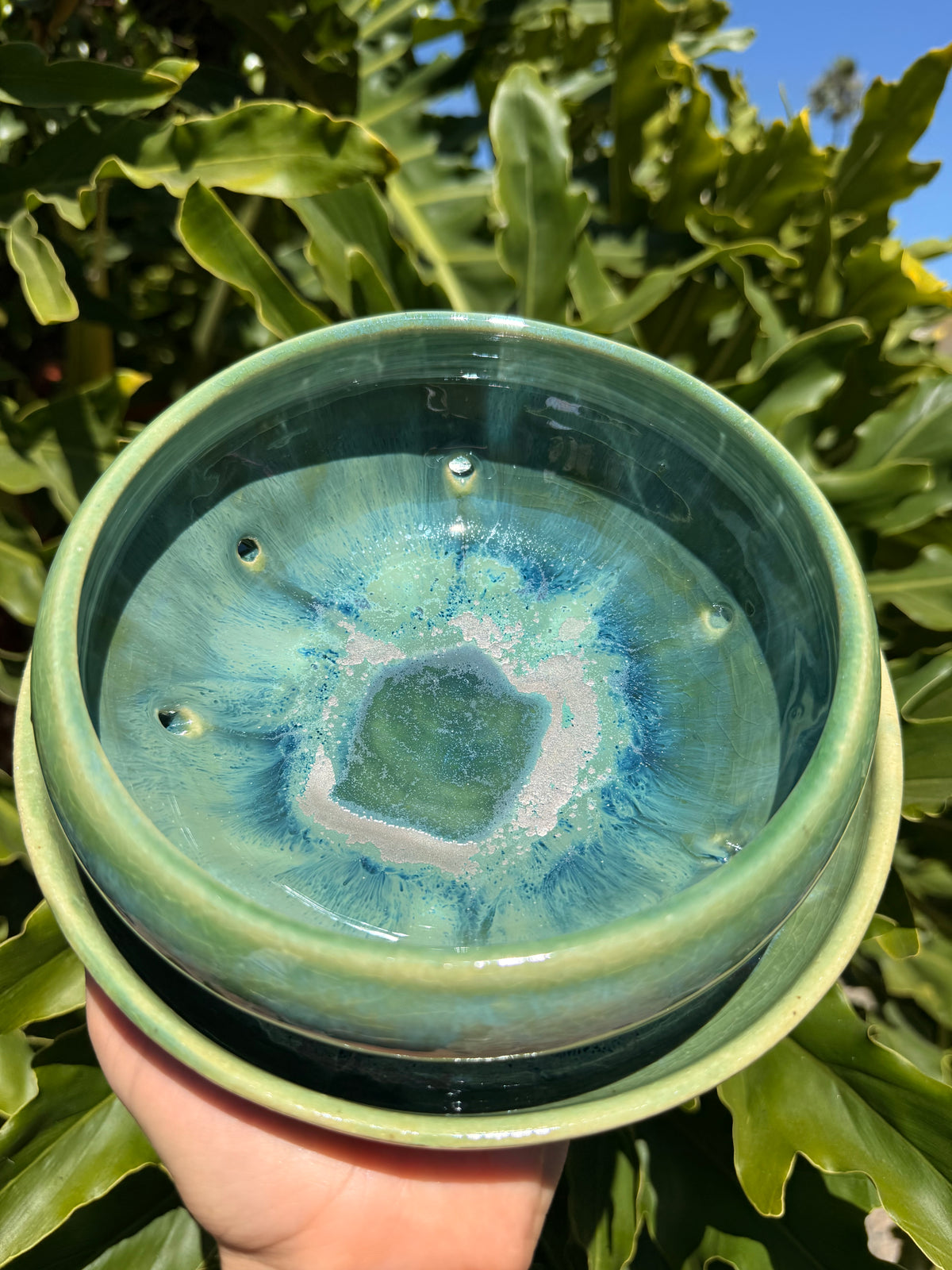 Bog Planter Lily Pad