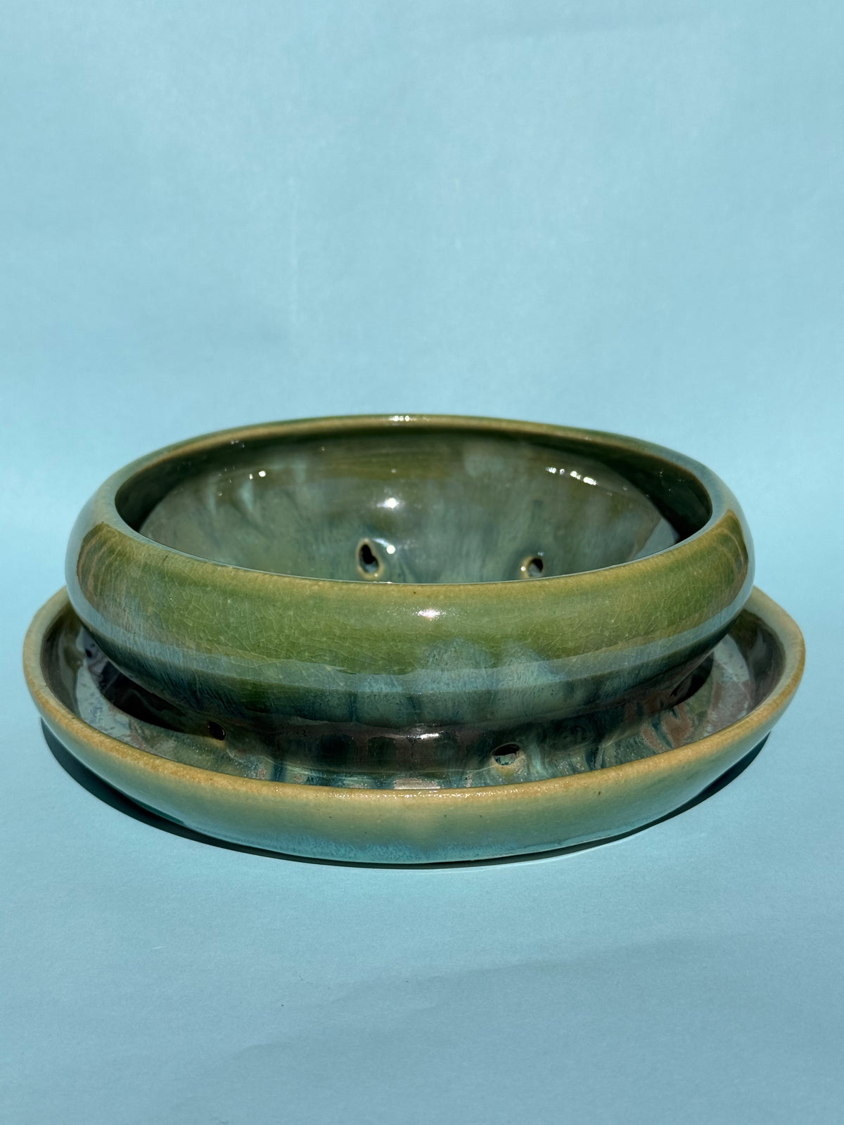 Bog Planter Lily Pad