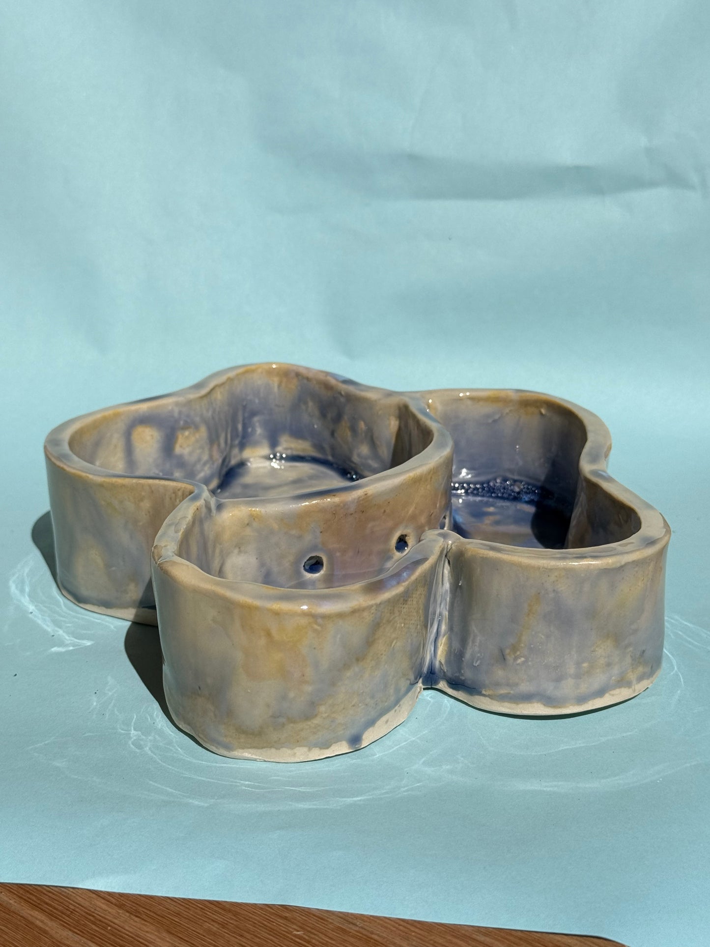 Bog Planter Daisy XL
